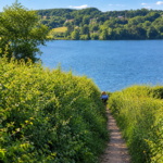 A person walks down a narrow dirt path lined with tall green bushes towards a blue lake, with forested hills and a few houses visible in the background under a blue sky.