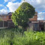 A back garden with overgrown grass, a small shed, tall wooden fences, and a tree. Houses with brick walls and solar panels are visible in the background under a partly cloudy sky.